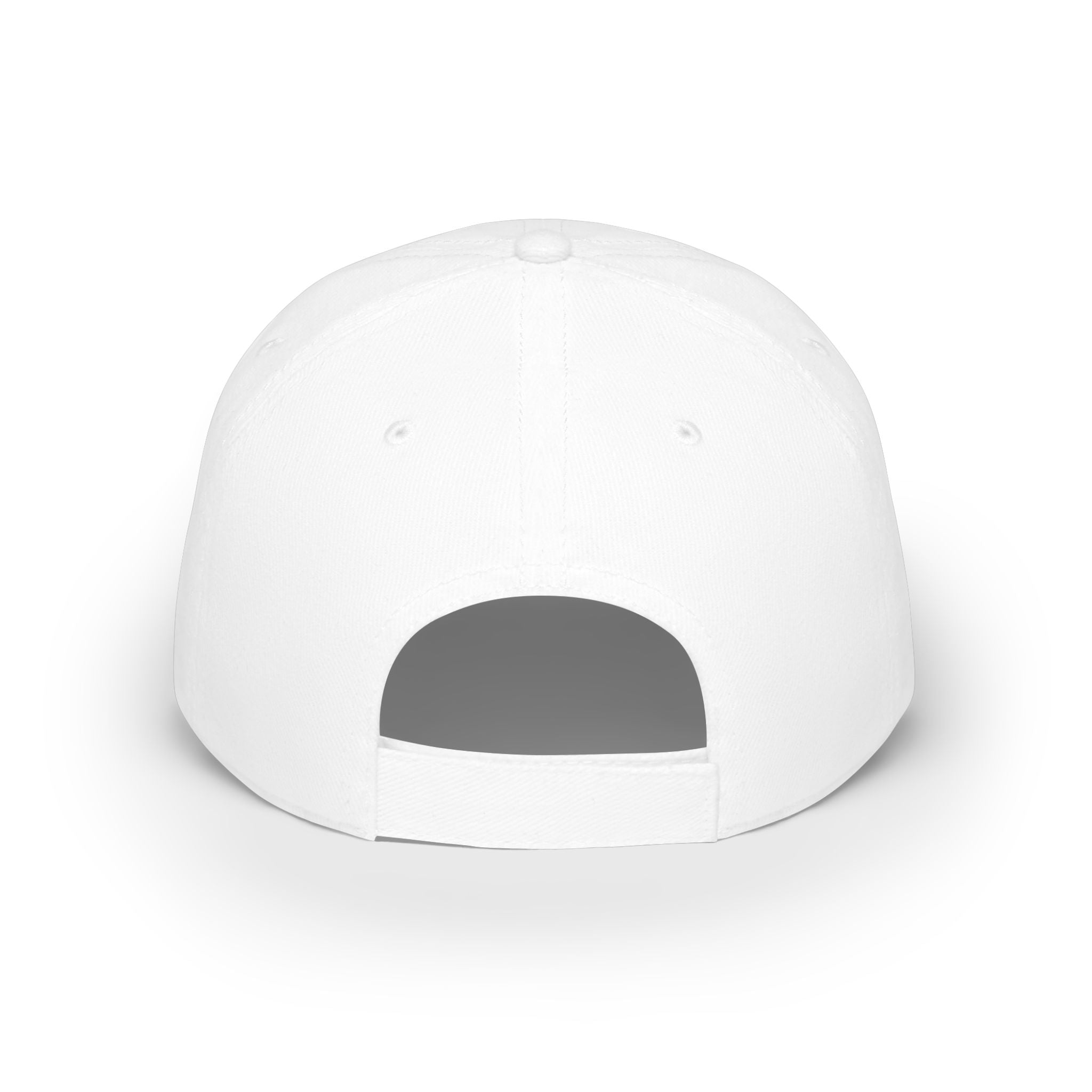 Snail with Rainbow Shell Cap — Low Profile Embroidered Baseball Hat