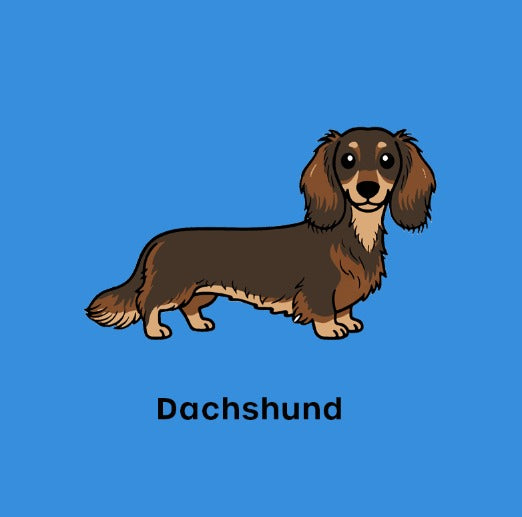 Cute Dachshund Graphic T-Shirt for Dog Lovers Unisex Wiener Dog Illustration Tee