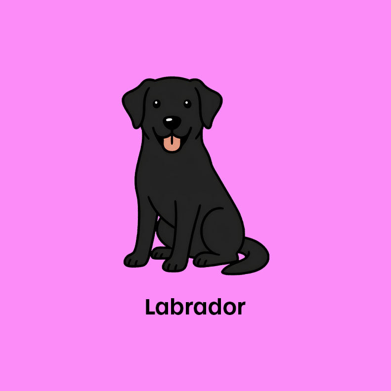 Cute Black  Labrador T-Shirt – Labrador Graphic Tee for Dog Lovers